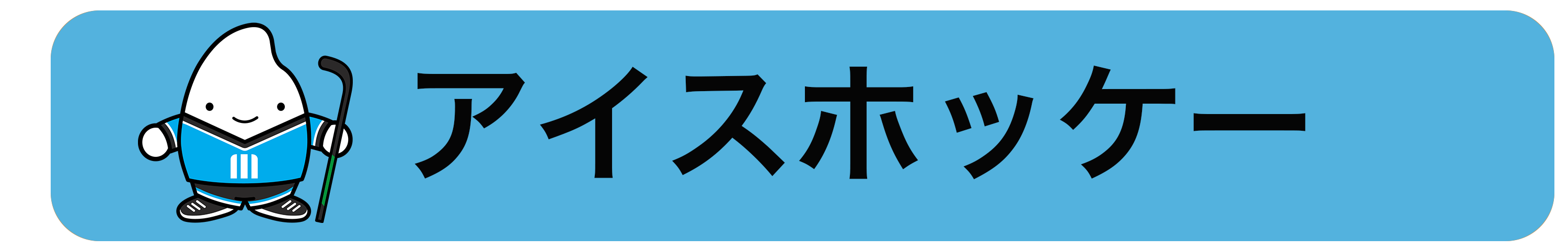 アイスホッケー