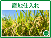 産地仕入れ