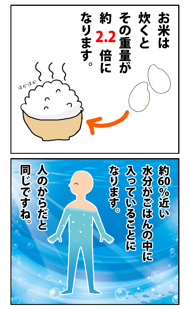 キレイなお水