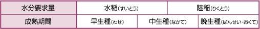水分要求量、成熟期間での分類