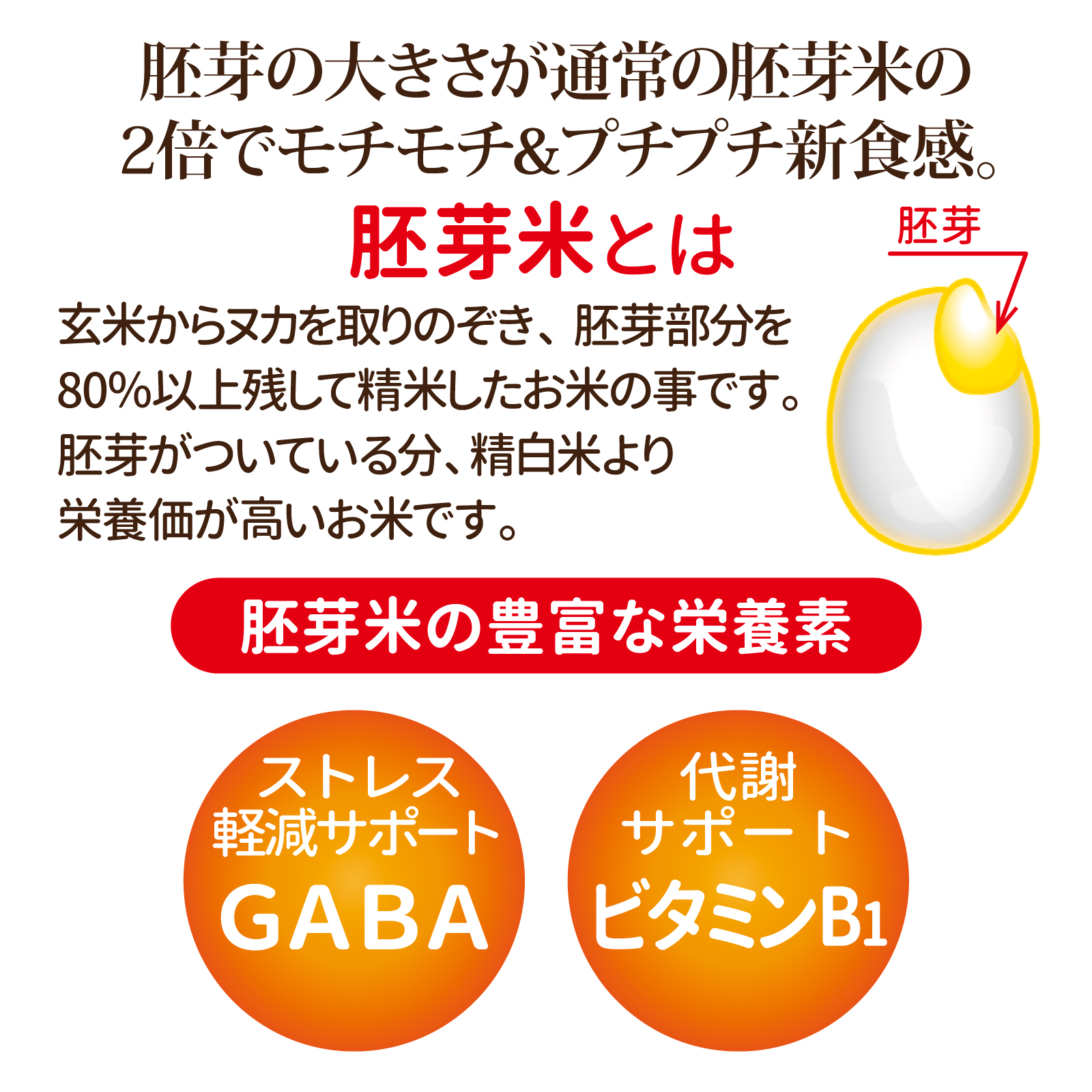 胚芽の大きな胚芽米