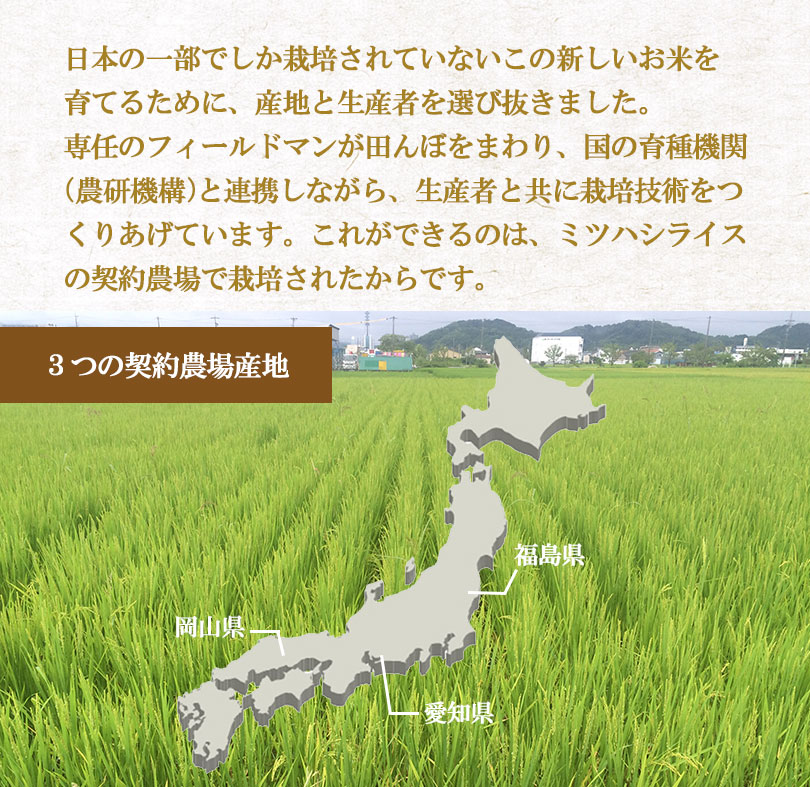 胚芽の大きな胚芽米 商品情報 ミツハシライス