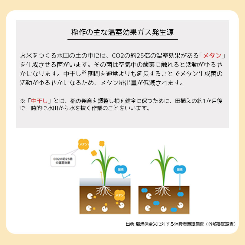 稲作の主な温室効果ガス発生源：メタン