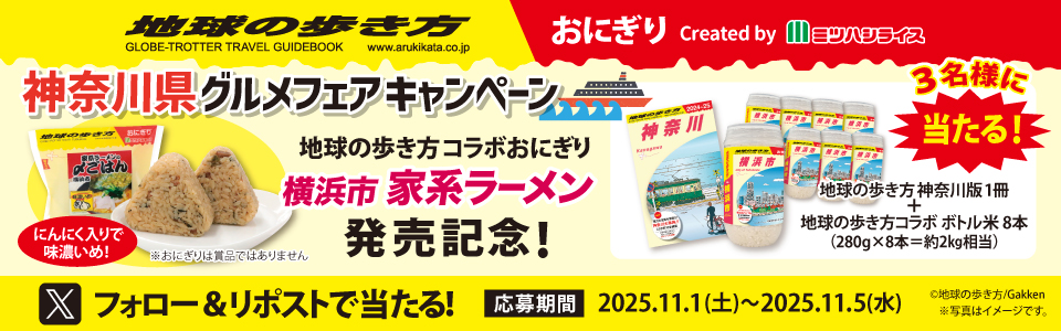 家系ラーメンの〆ごはん_ミツハシライス