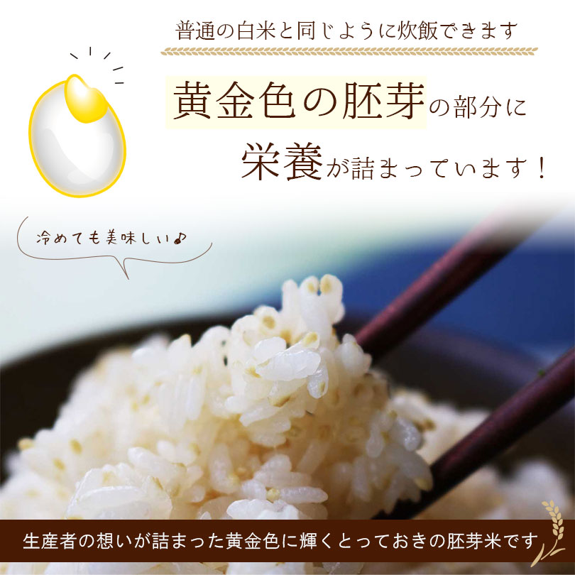 胚芽の大きな胚芽米の栄養素